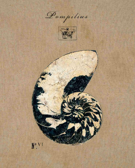 Still Life for Jahrriesnge nautilus-lpf00182 Still Life Jahrriesnge for nautilus-lpf00182