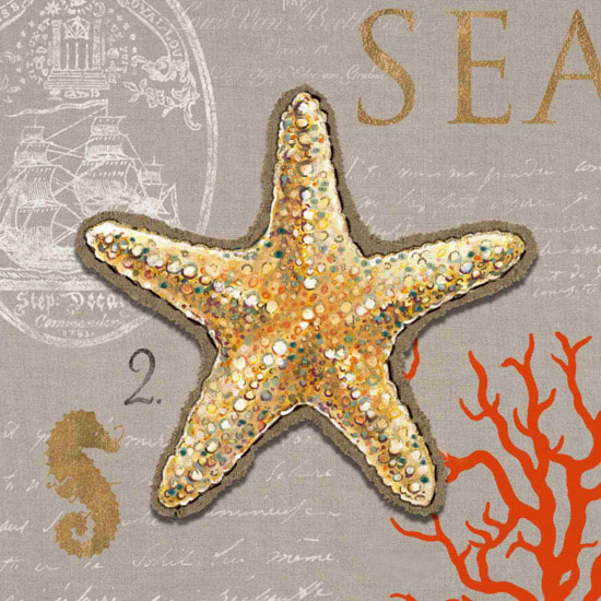 Still Life for Jahrriesnge starfish-lpf00188 Still Life Jahrriesnge for starfish-lpf00188