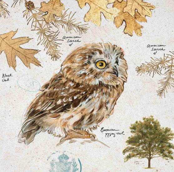 Still Life for Jahrriesnge owl-lpf00191 Still Life Jahrriesnge for owl-lpf00191