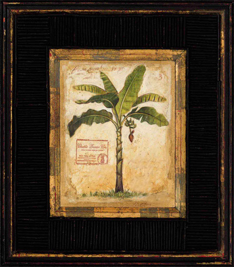 Still Life for Jahrriesnge banana-tree-lpf00450 Still Life Jahrriesnge for banana-tree-lpf00450