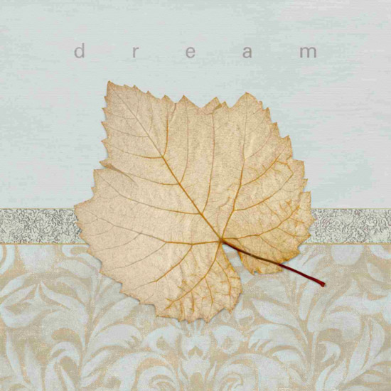 Still Life for Jahrriesnge leaf-lpf00495 Still Life Jahrriesnge for leaf-lpf00495