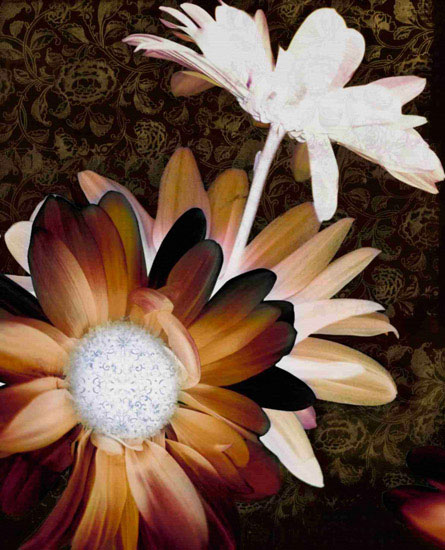 Floral for JAHRRIESNGE flower-lpf00570 Floral JAHRRIESNGE for flower-lpf00570