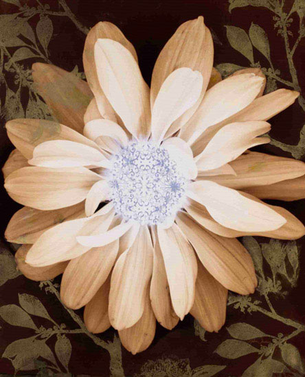 Floral for JAHRRIESNGE flower-lpf00571 Floral JAHRRIESNGE for flower-lpf00571