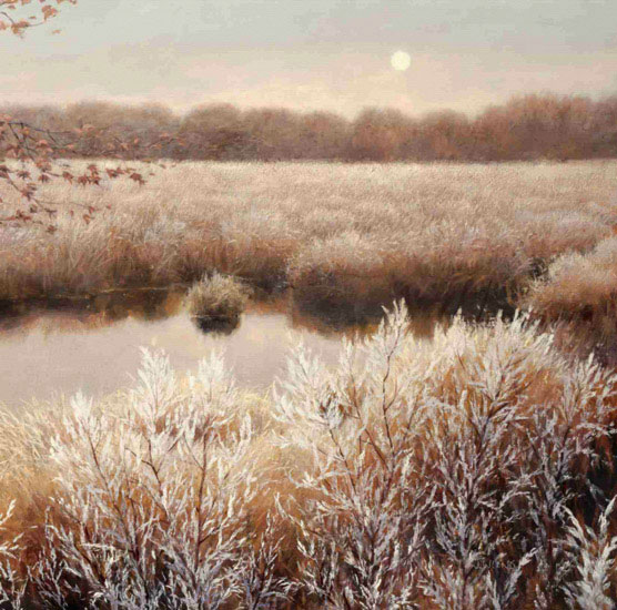 Landscape for JAHRRIESNGE pond-lpf00647 Landscape JAHRRIESNGE for pond-lpf00647
