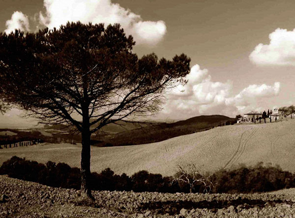 Landscape for JAHRRIESNGE trees-lpf00757 Landscape JAHRRIESNGE for trees-lpf00757