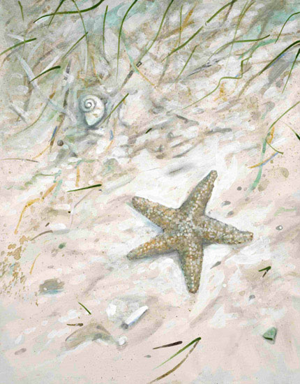 Landscape for JAHRRIESNGE seastar-lpf00844 Landscape JAHRRIESNGE for seastar-lpf00844