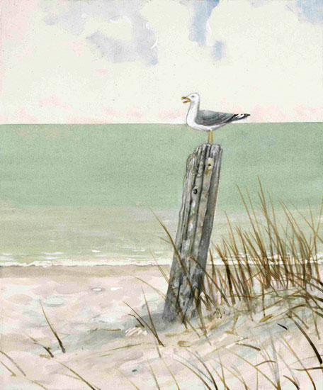 Landscape for JAHRRIESNGE bird-watching-lpf00847 Landscape JAHRRIESNGE for bird-watching-lpf00847