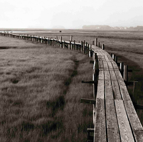 Landscape for JAHRRIESNGE wooden-bridge-lpf00851 Landscape JAHRRIESNGE for wooden-bridge-lpf00851