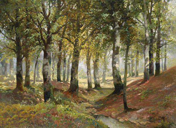 Landscape for JAHRRIESNGE trees-lpf01147 Landscape JAHRRIESNGE for trees-lpf01147