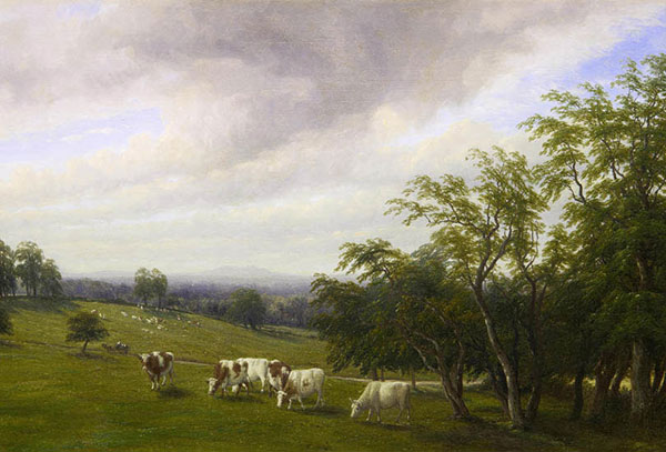 Landscape for JAHRRIESNGE land-lpf01227 Landscape JAHRRIESNGE for land-lpf01227