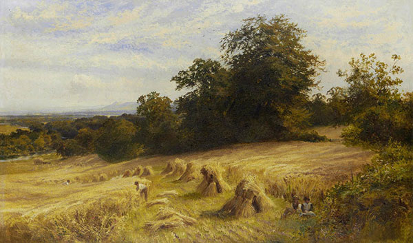Landscape for JAHRRIESNGE wheat-lpf01235 Landscape JAHRRIESNGE for wheat-lpf01235