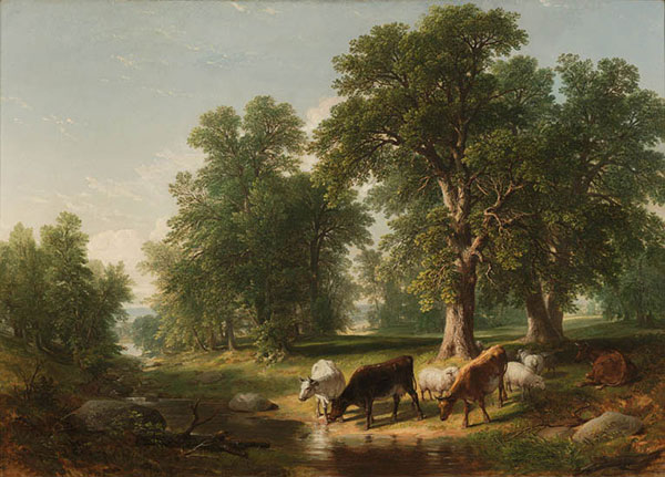 Landscape for JAHRRIESNGE tree-lpf01446 Landscape JAHRRIESNGE for tree-lpf01446
