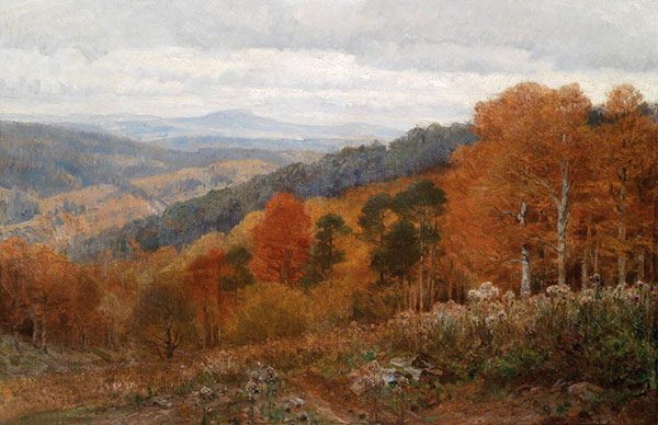 Landscape for JAHRRIESNGE hill-lpf01511 Landscape JAHRRIESNGE for hill-lpf01511