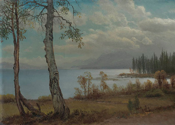 Landscape for JAHRRIESNGE sea-lpf01553 Landscape JAHRRIESNGE for sea-lpf01553