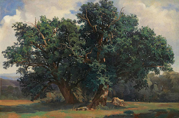 Landscape for Jahrriesnge green-tree-lpf01557 Landscape Jahrriesnge for green-tree-lpf01557
