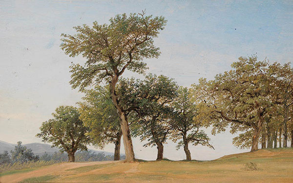 Landscape for Jahrriesnge tree-lpf01635 Landscape Jahrriesnge for tree-lpf01635