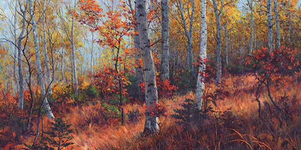 Landscape for Jahrriesnge tree-lpf01850 Landscape Jahrriesnge for tree-lpf01850