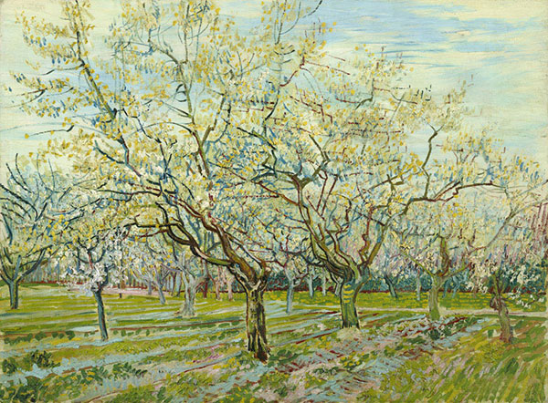 Landscape for JAHRRIESNGE tree-lpf02461 Landscape JAHRRIESNGE for tree-lpf02461