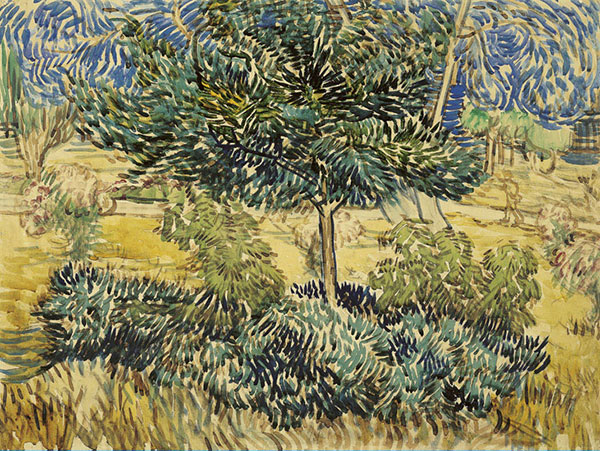 Landscape for JAHRRIESNGE tree-lpf02474 Landscape JAHRRIESNGE for tree-lpf02474