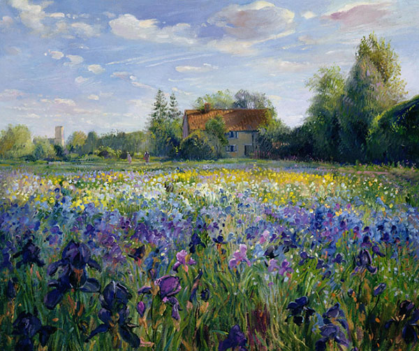 Landscape for Jahrriesnge flower-field-lpf02502 Landscape Jahrriesnge for flower-field-lpf02502