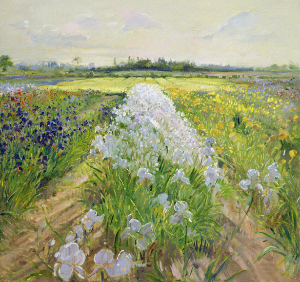 Landscape for JAHRRIESNGE flower-field-lpf02504 Landscape JAHRRIESNGE for flower-field-lpf02504