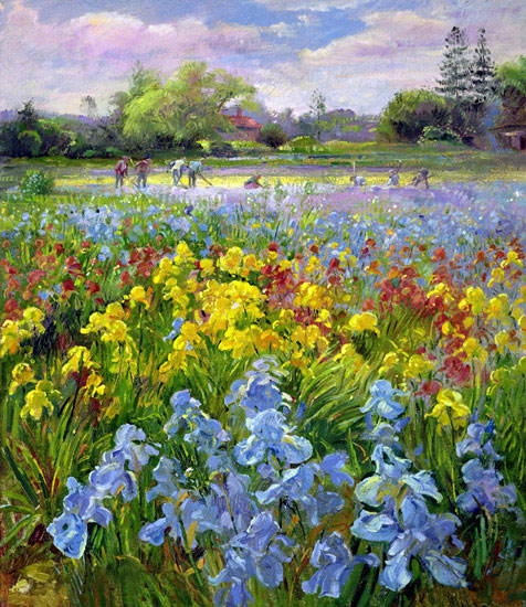 Landscape for JAHRRIESNGE flower-field-lpf02507 Landscape JAHRRIESNGE for flower-field-lpf02507