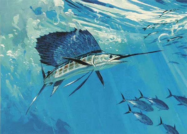 Animals for Jahrriesnge fish-lpf02519 Animals Jahrriesnge for fish-lpf02519