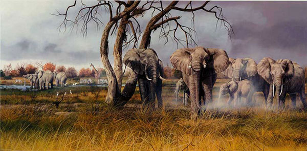 Animals for Jahrriesnge elephant-lpf02530 Animals Jahrriesnge for elephant-lpf02530