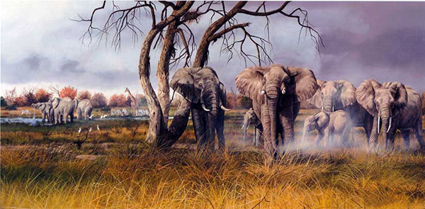 Animals for Jahrriesnge elephant-lpf02531 Animals Jahrriesnge for elephant-lpf02531