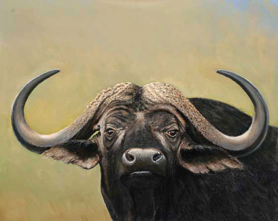 Animals for Jahrriesnge bison-lpf02535 Animals Jahrriesnge for bison-lpf02535