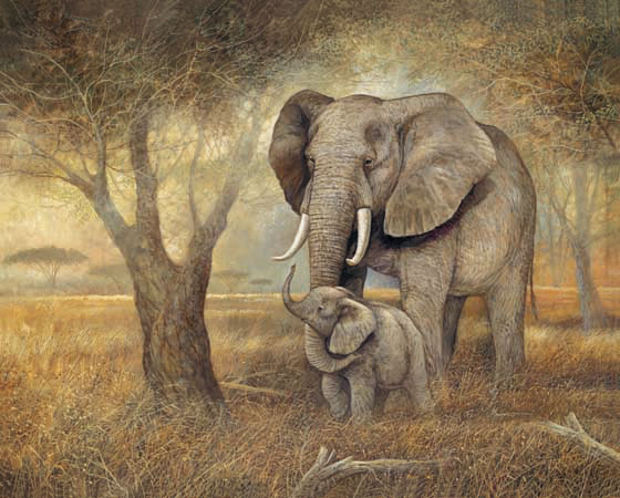 Animals for Jahrriesnge elephant-lpf02537 Animals Jahrriesnge for elephant-lpf02537