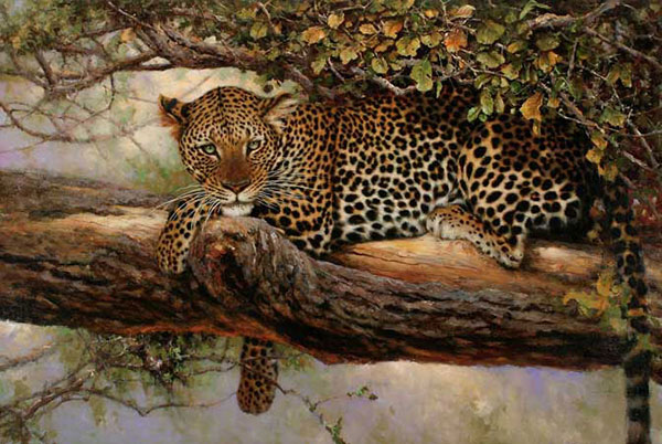 Animals for Jahrriesnge leopard-lpf02539 Animals Jahrriesnge for leopard-lpf02539