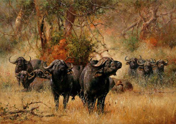 Animals for Jahrriesnge bison-lpf02540 Animals Jahrriesnge for bison-lpf02540