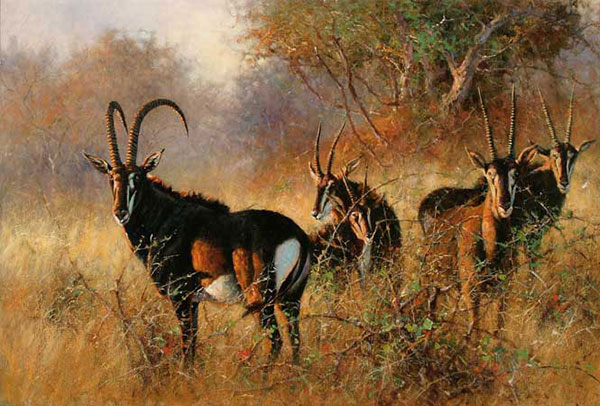 Animals for Jahrriesnge antelope-lpf02541 Animals Jahrriesnge for antelope-lpf02541