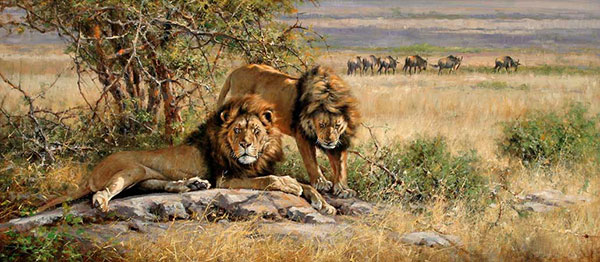 Animals for Jahrriesnge lions-lpf02542 Animals Jahrriesnge for lions-lpf02542
