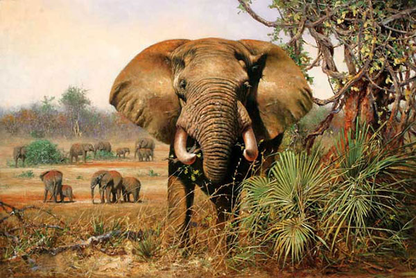 Animals for Jahrriesnge elephant-lpf02544 Animals Jahrriesnge for elephant-lpf02544