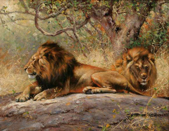 Animals for Jahrriesnge lion-lpf02549 Animals Jahrriesnge for lion-lpf02549