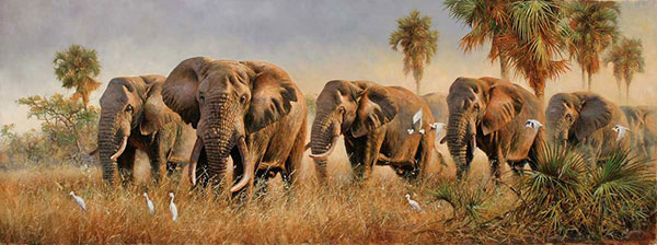 Animals for Jahrriesnge elephant-lpf02550 Animals Jahrriesnge for elephant-lpf02550