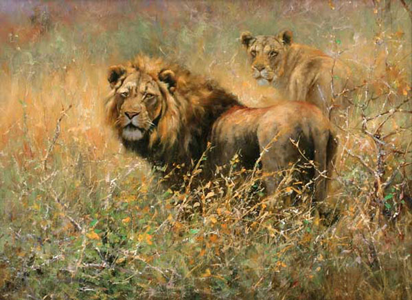 Animals for Jahrriesnge lion-lpf02551 Animals Jahrriesnge for lion-lpf02551