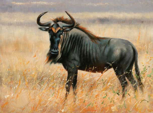 Animals for Jahrriesnge wildebeest-lpf02552 Animals Jahrriesnge for wildebeest-lpf02552