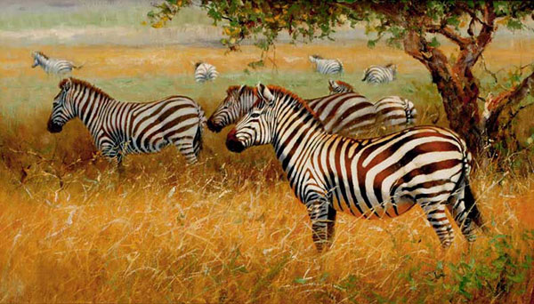 Animals for Jahrriesnge zebra-lpf02555 Animals Jahrriesnge for zebra-lpf02555