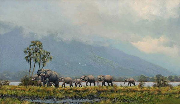 Animals for Jahrriesnge elephant-lpf02556 Animals Jahrriesnge for elephant-lpf02556