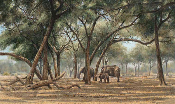 Animals for Jahrriesnge elephant-lpf02557 Animals Jahrriesnge for elephant-lpf02557