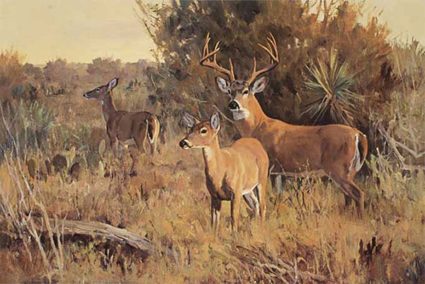 Animals for Jahrriesnge deers-lpf02559 Animals Jahrriesnge for deers-lpf02559