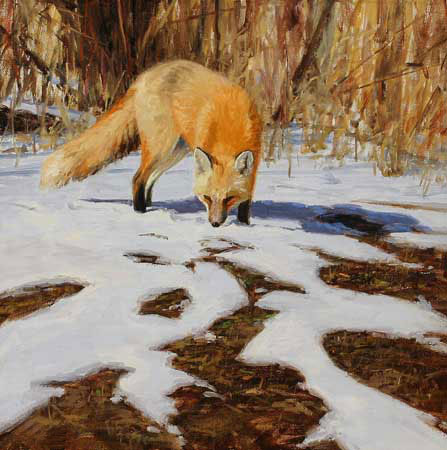 Animals for Jahrriesnge fox-lpf02566 Animals Jahrriesnge for fox-lpf02566