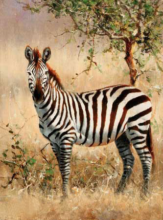 Animals for Jahrriesnge zebra-lpf02570 Animals Jahrriesnge for zebra-lpf02570