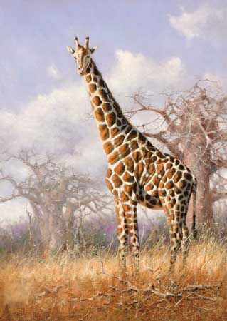 Animals for Jahrriesnge giraffe-lpf02571 Animals Jahrriesnge for giraffe-lpf02571