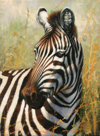 Animals for Jahrriesnge zebra-lpf02572 Animals Jahrriesnge for zebra-lpf02572