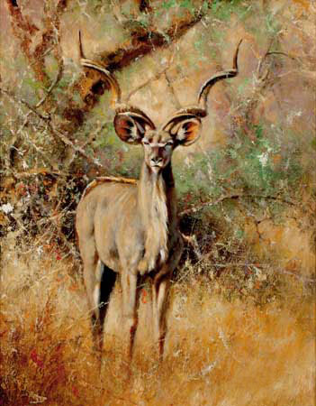 Animals for Jahrriesnge deer-lpf02573 Animals Jahrriesnge for deer-lpf02573