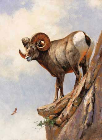 Animals for Jahrriesnge bighorn-sheep-lpf02574 Animals Jahrriesnge for bighorn-sheep-lpf02574